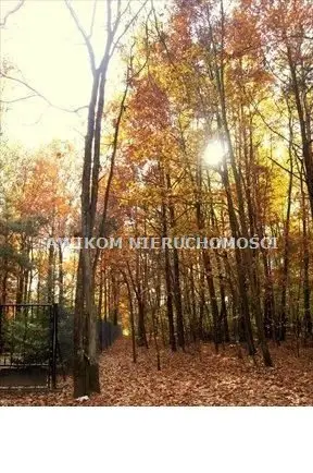 Działka budowlana 1 700 m², Tartak Brzózki