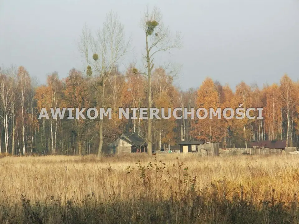 Działka rolna 2,12 ha, Skierniewice, Borowiny