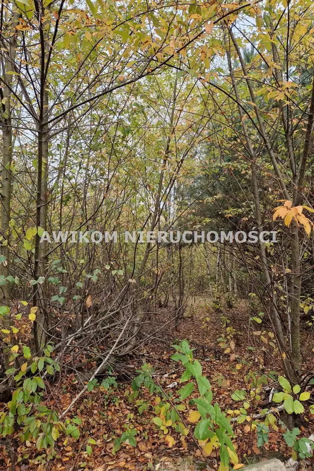 Działka budowlana 1 369 m², Chylice