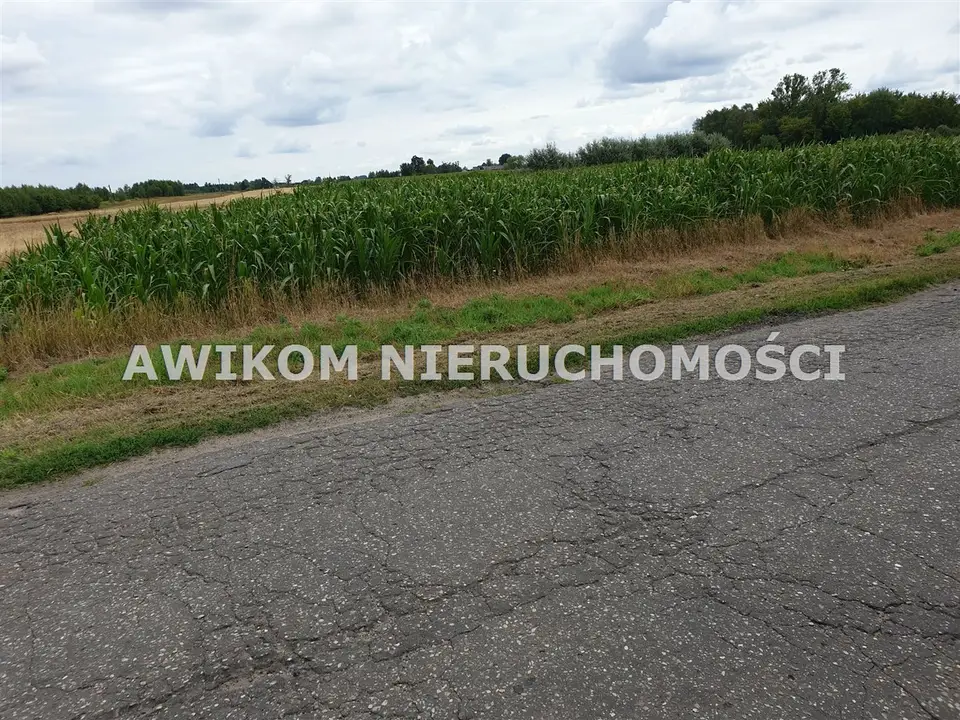 Działka siedliskowa i rolna 2 000 m², Cegłów