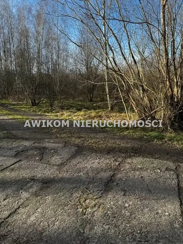 Działka siedliskowa i rolna 6 900 m², Stare Budy