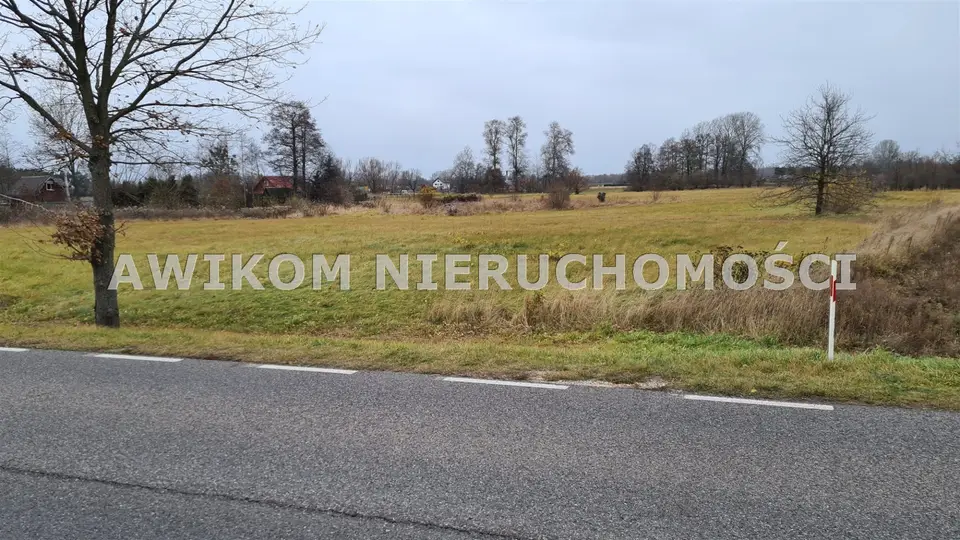 Działka budowlana 1,75 ha, Leoncin