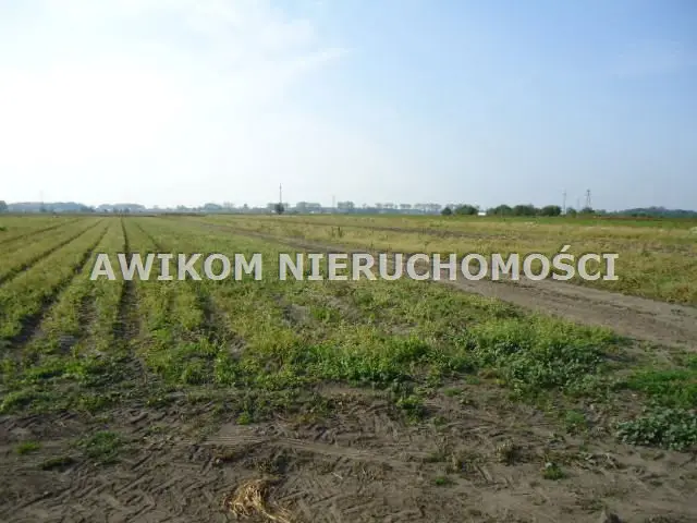 Działka budowlana i rolna 9 ha, Chlebnia