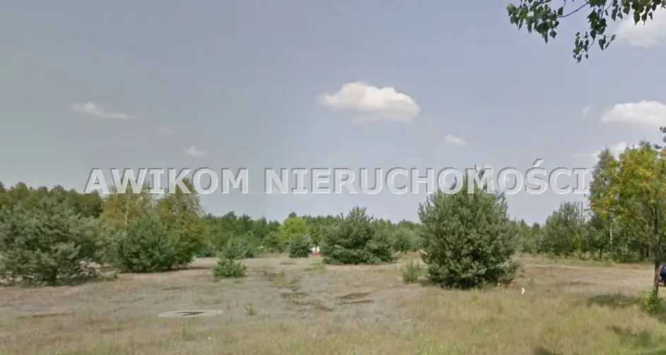 Działka inwestycyjna 6 000 m², Puszcza Mariańska