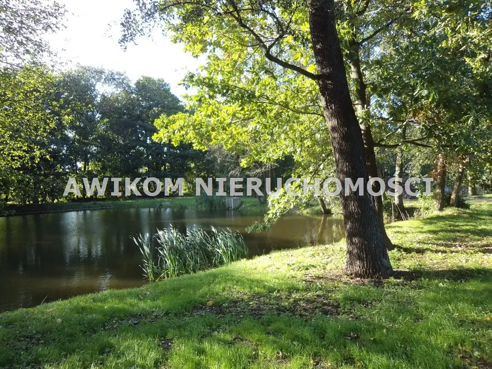 Działka siedliskowa i inwestycyjna 5,32 ha, Odrano-Wola