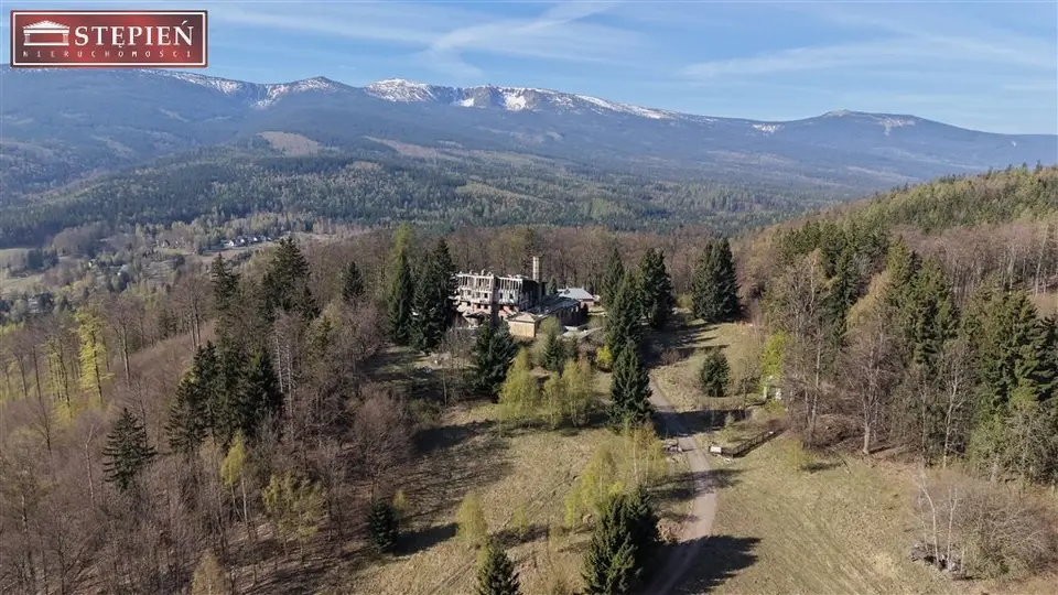 Działka inwestycyjna 2,12 ha, Piechowice, Michałowice