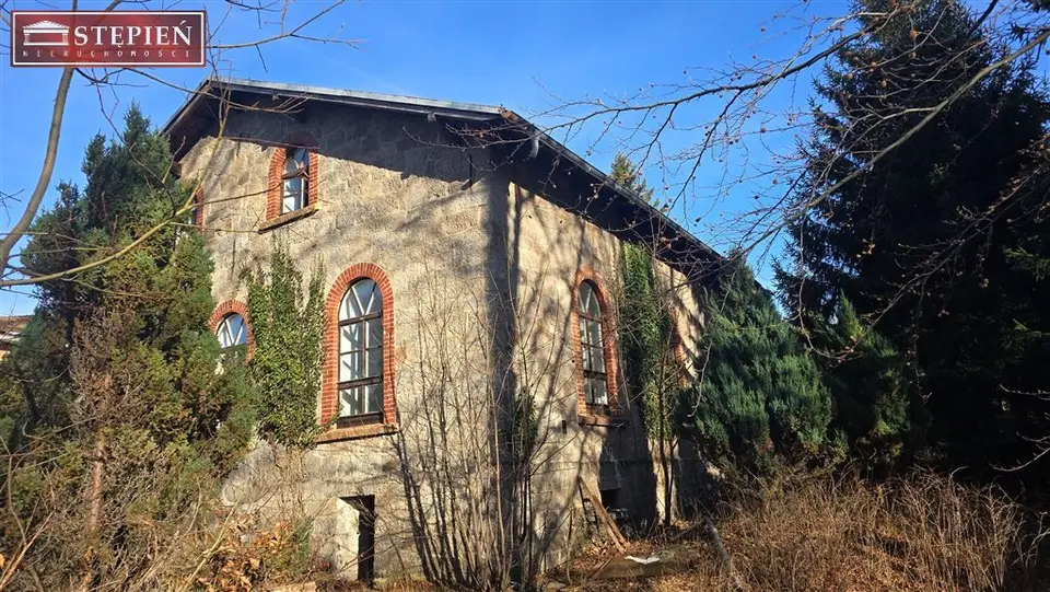Zdjęcie 13