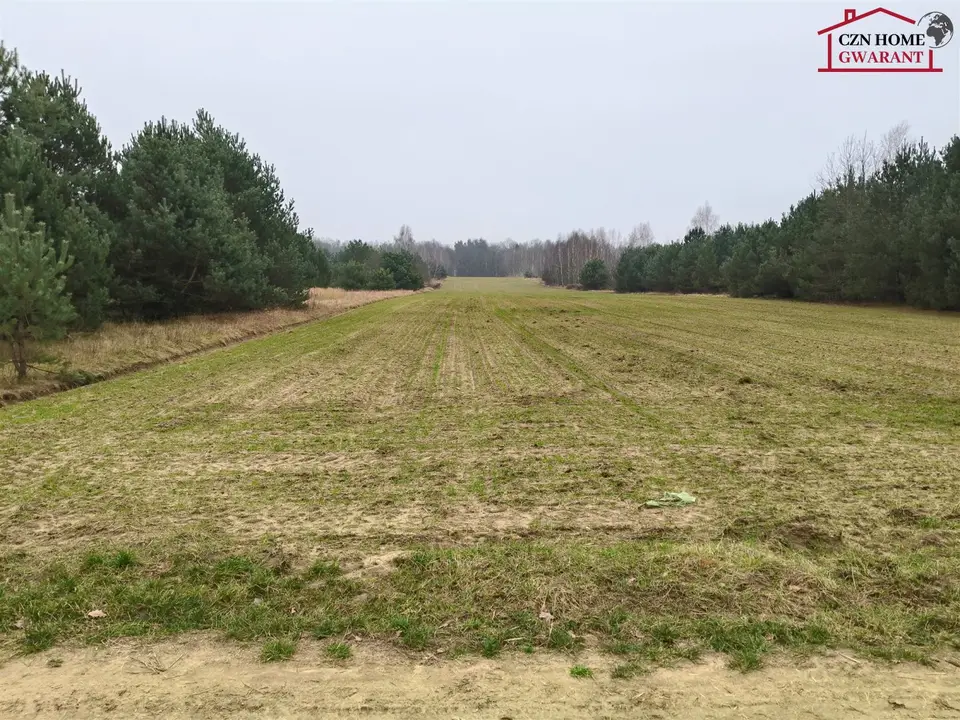 Działka siedliskowa i rolna 1,25 ha, Guzew