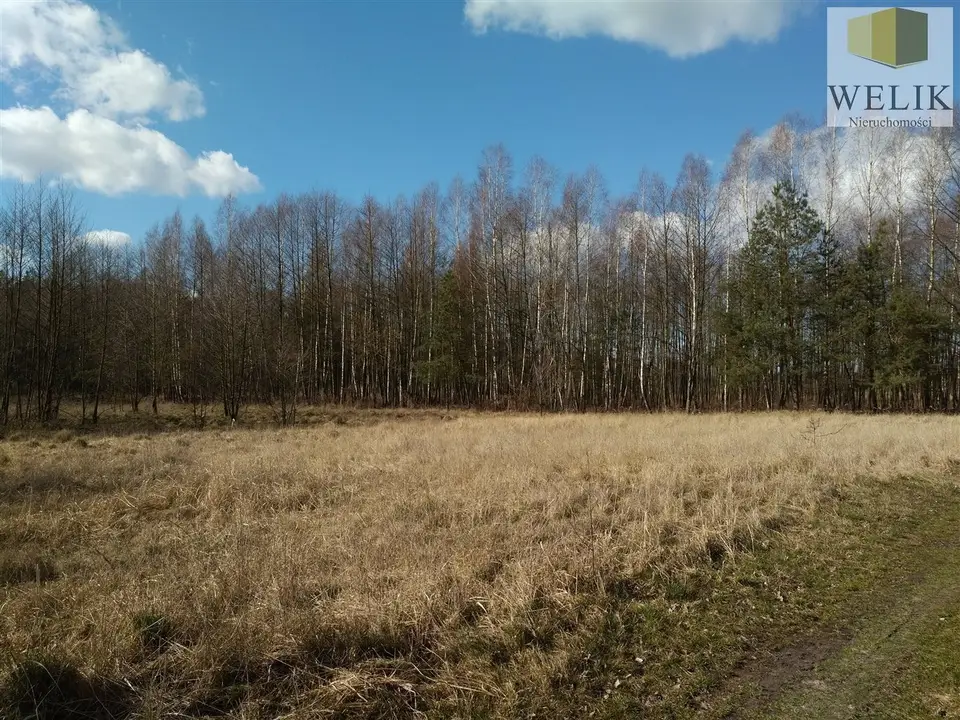 Działka budowlana 7 500 m², Krzyczew