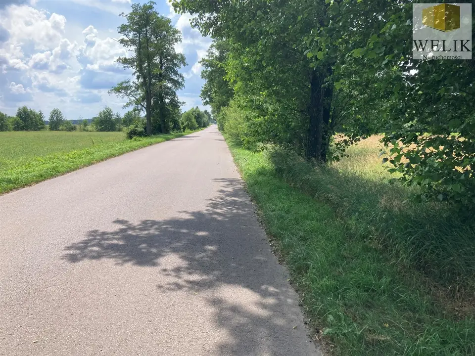 Zdjęcie 4
