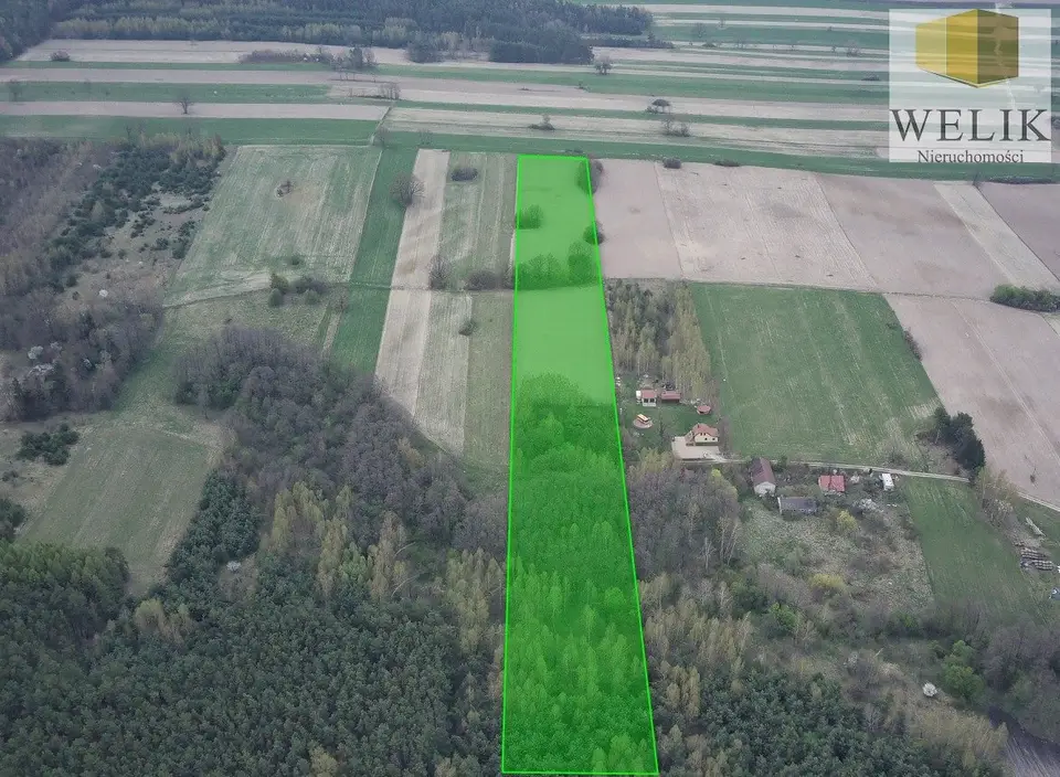 Działka budowlana 3,99 ha, Hołowczyce-Kolonia
