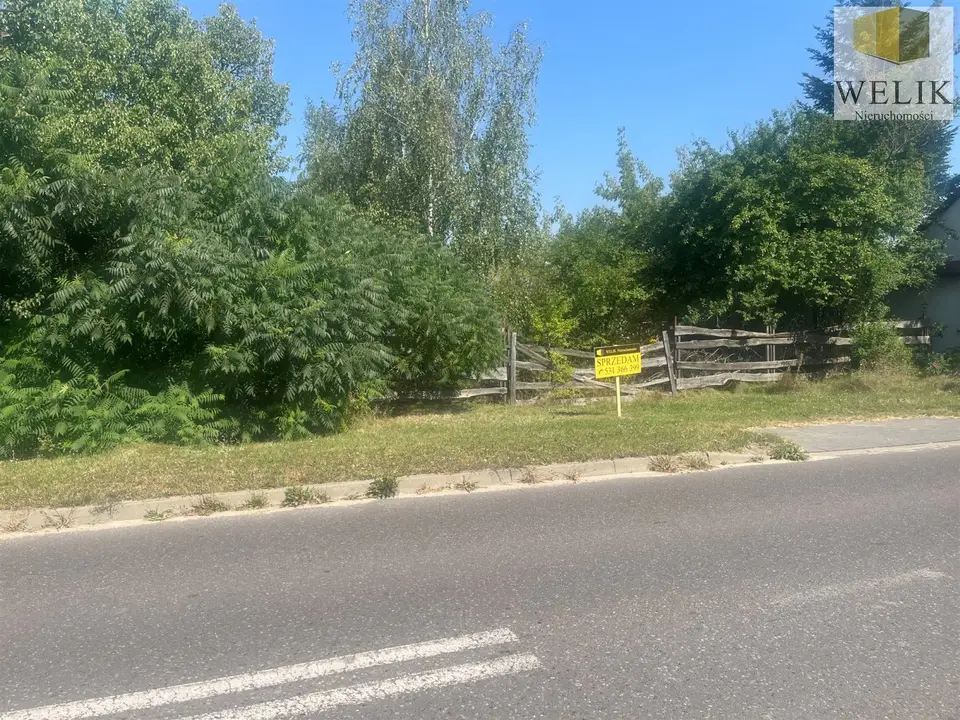 Zdjęcie 2