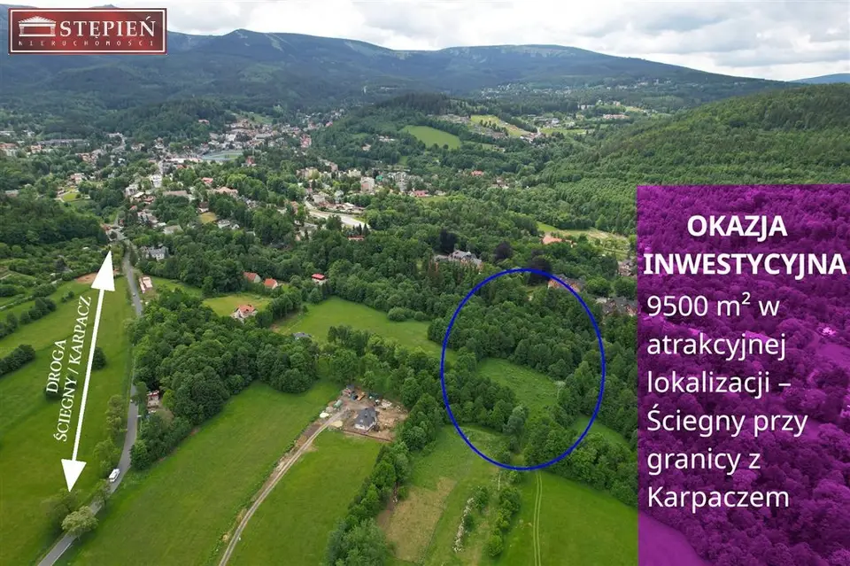 Działka budowlana 9 500 m², Ściegny