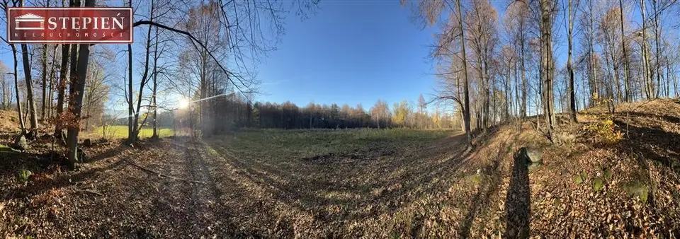 Zdjęcie 7