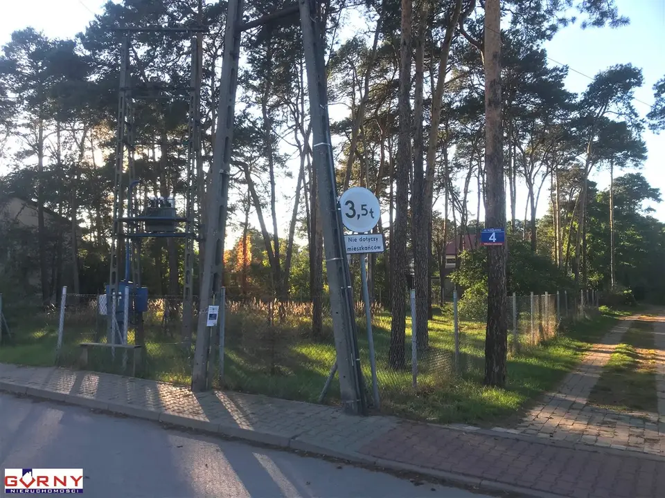 Zdjęcie 3