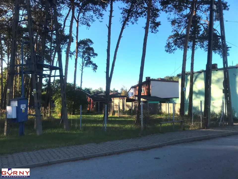 Zdjęcie 4