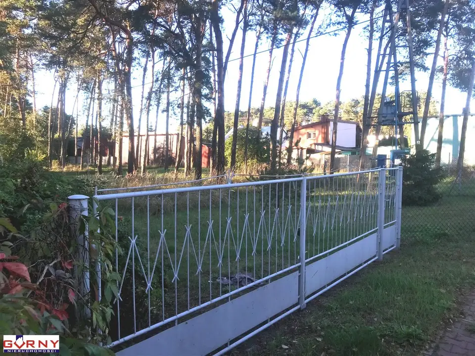 Zdjęcie 5