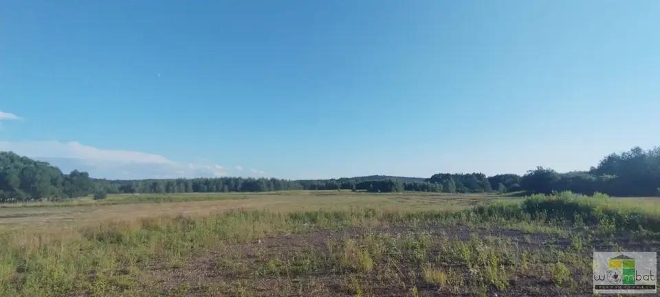 Zdjęcie 4