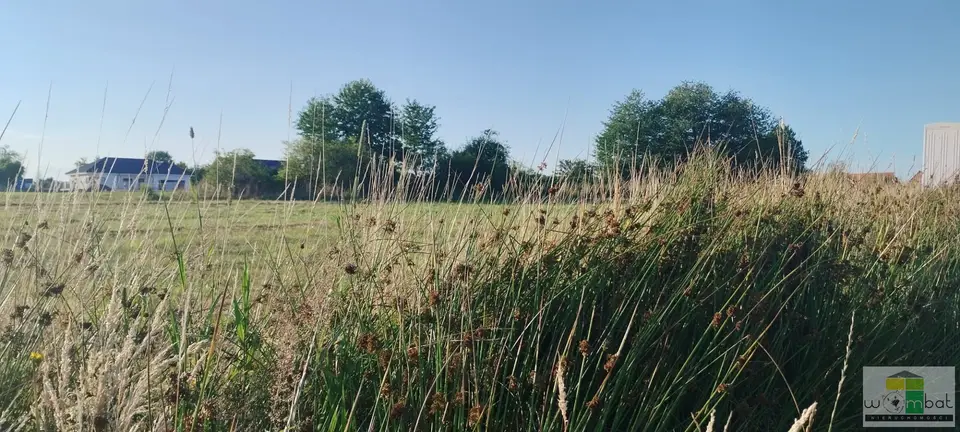 Zdjęcie 5