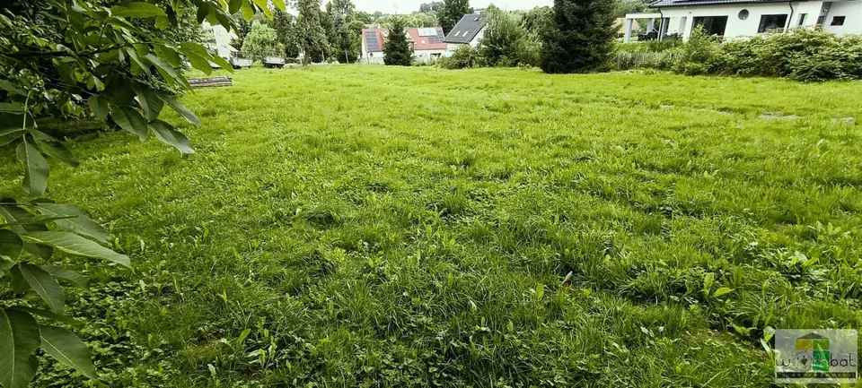 Zdjęcie 4
