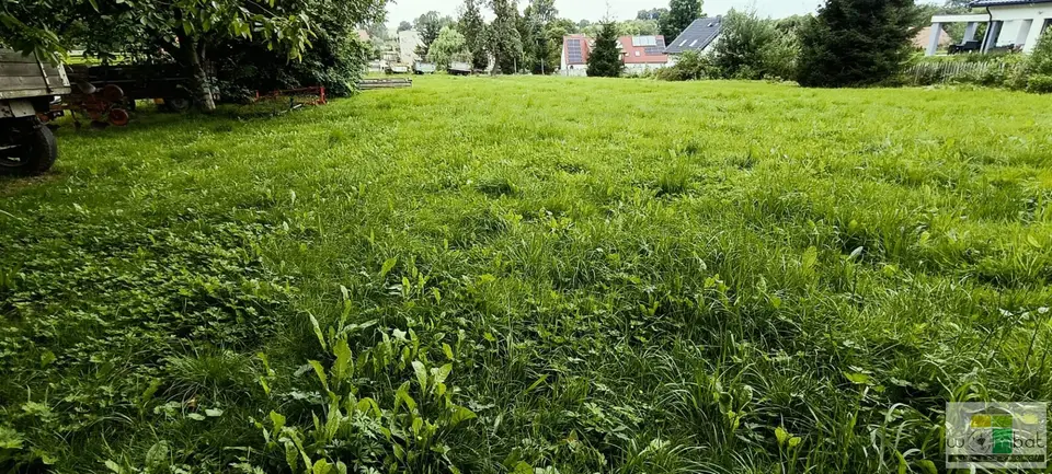 Zdjęcie 5
