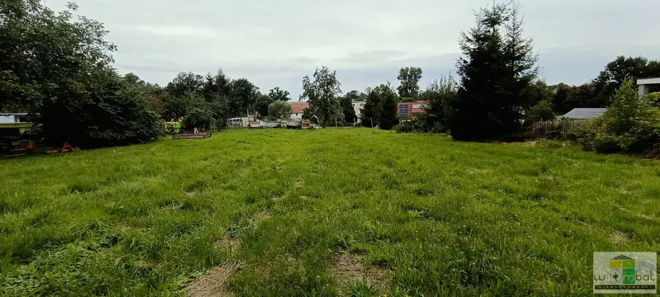Zdjęcie 6