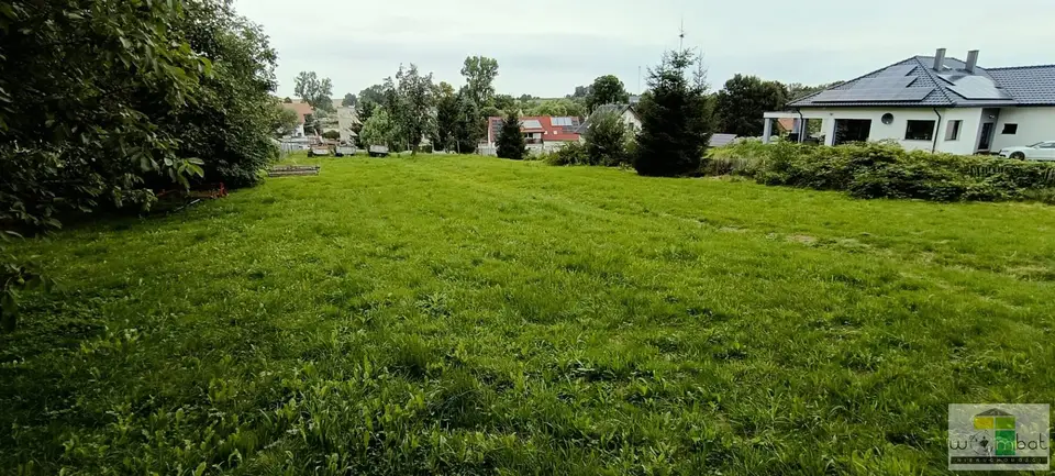 Zdjęcie 8