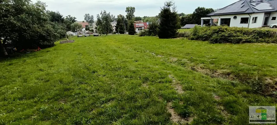 Zdjęcie 9