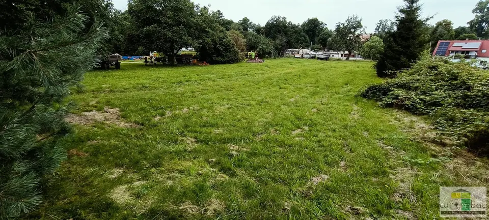 Zdjęcie 10