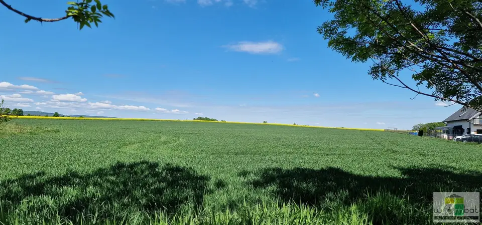 Działka rolna 5 000 m², Lutomia Dolna