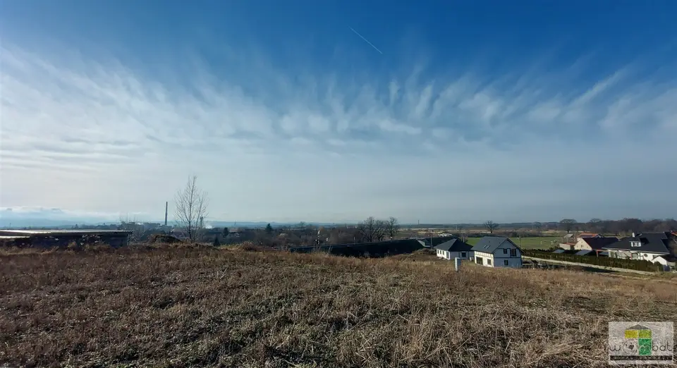 Zdjęcie 6