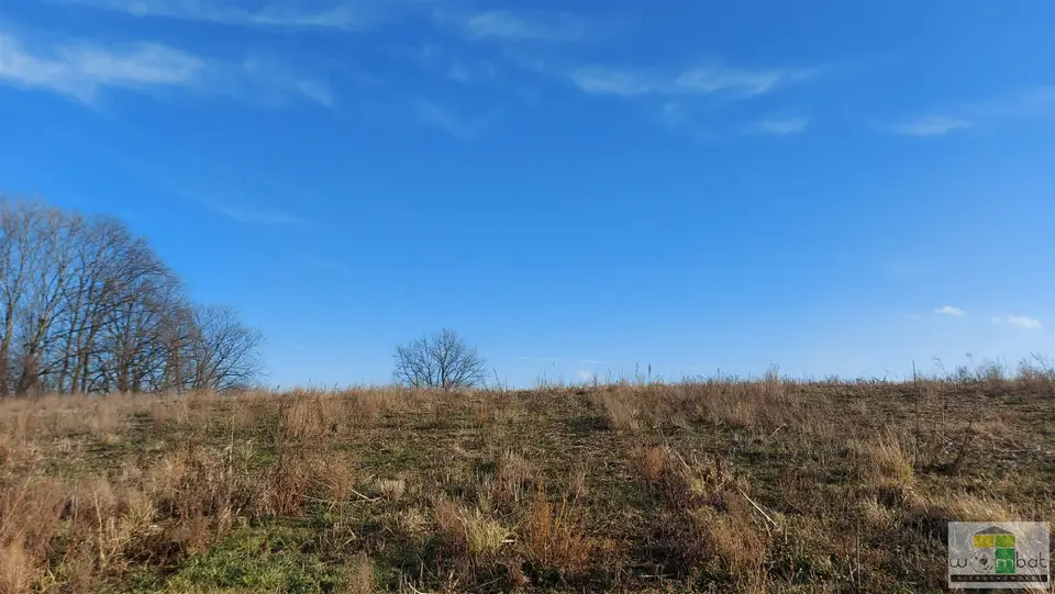 Zdjęcie 13