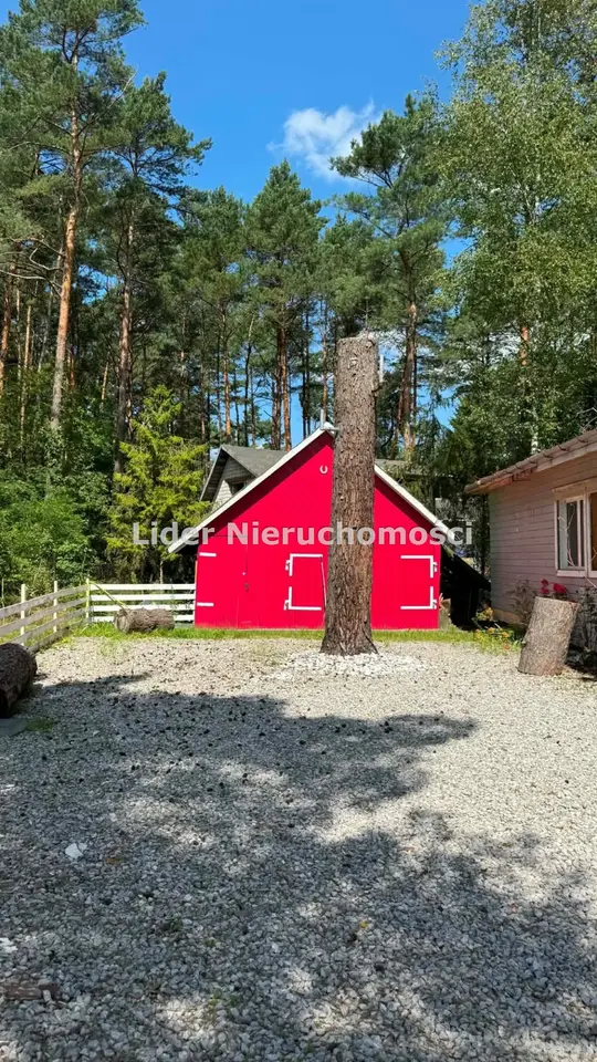 Zdjęcie 7