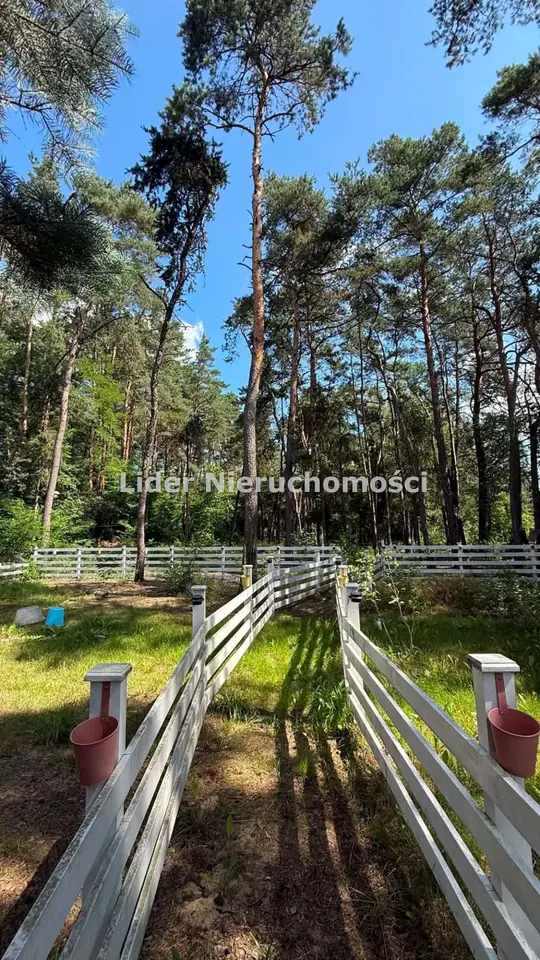 Zdjęcie 11