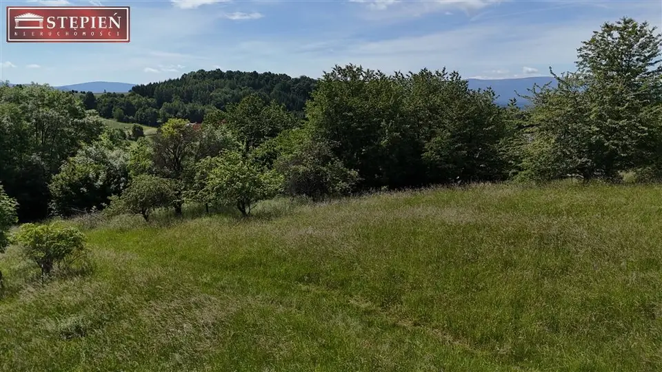 Zdjęcie 6