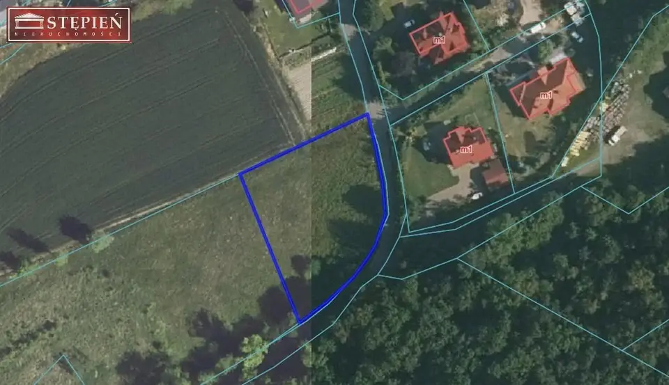 Zdjęcie 12