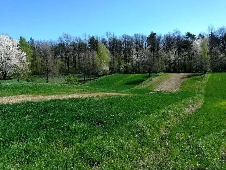 Działka budowlana 2 200 m², Wierciszów