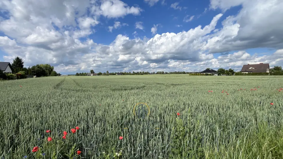 Działka budowlana 1 355 m², Wola Niemiecka