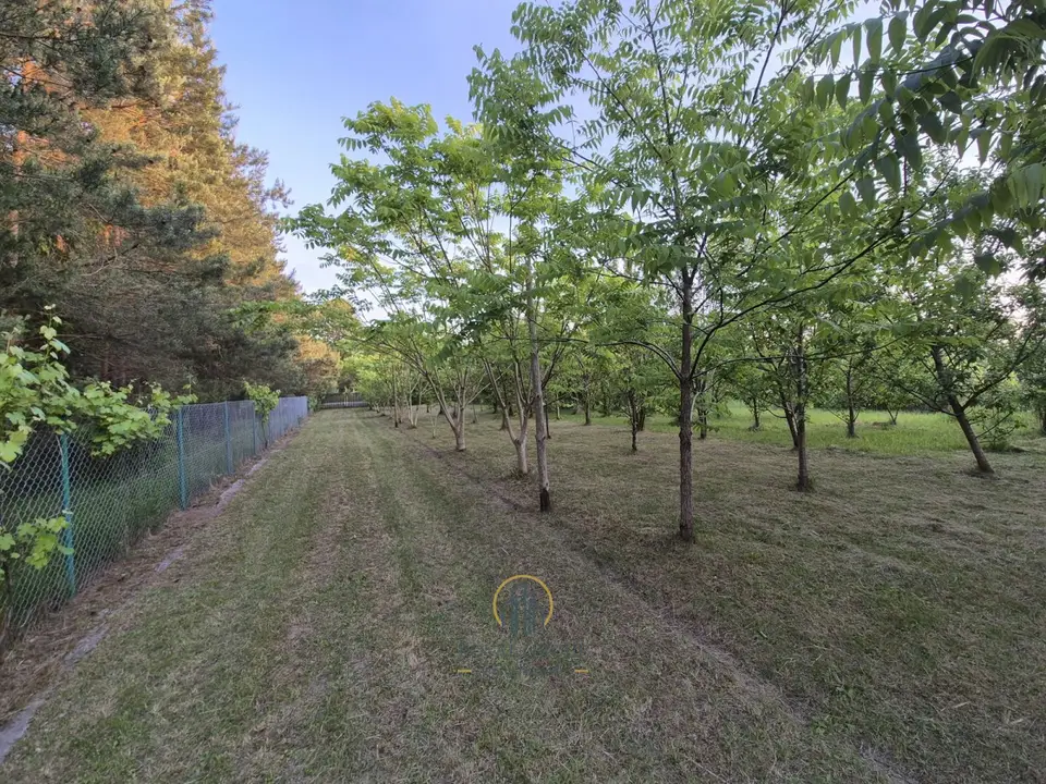 Działka rekreacyjna 1 360 m², Wytyczno