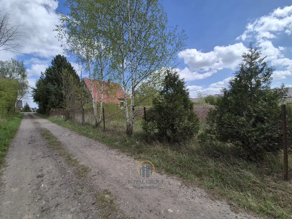 Zdjęcie 6