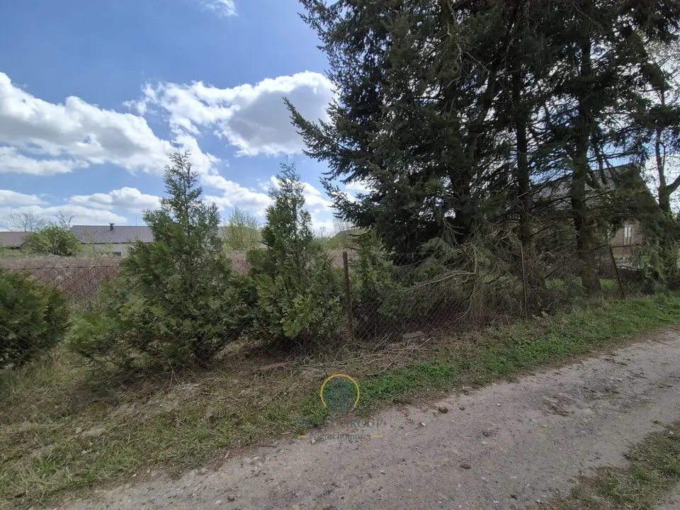 Zdjęcie 7