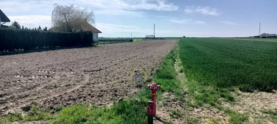 Zdjęcie 2