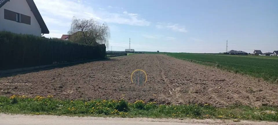 Zdjęcie 3