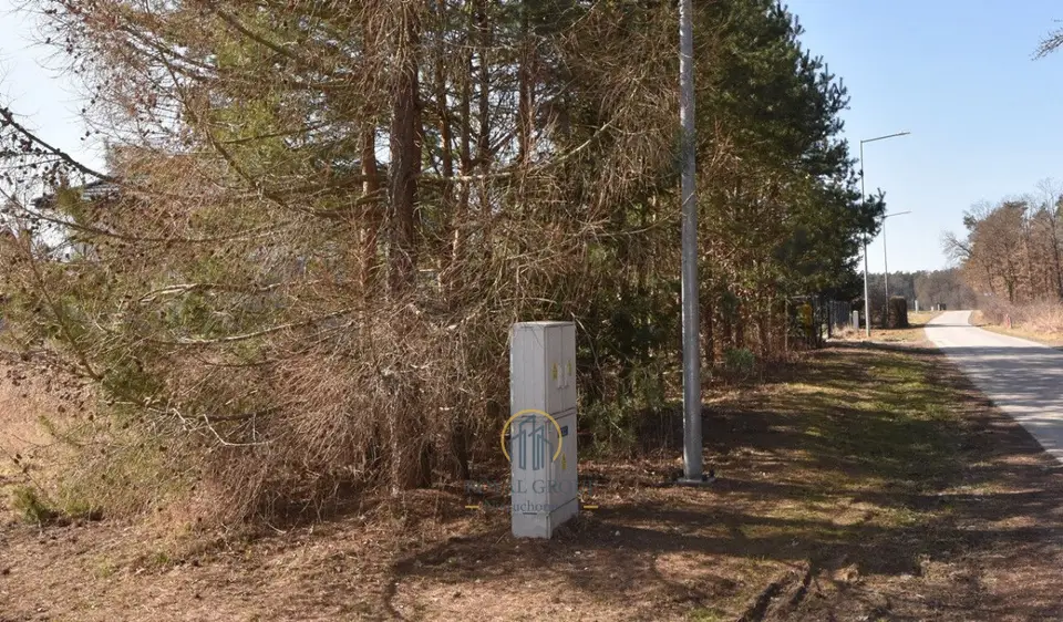 Zdjęcie 4