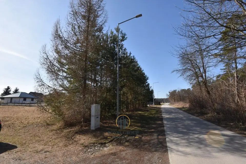 Zdjęcie 5