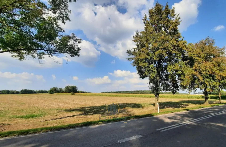 Działka rolna 8 100 m², Rudno