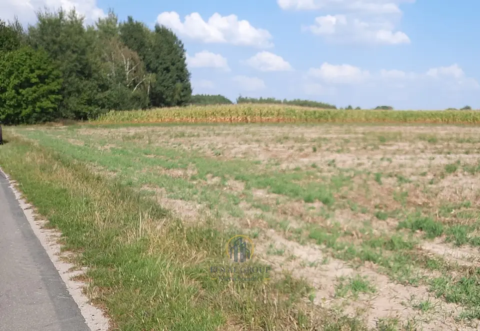 Zdjęcie 3