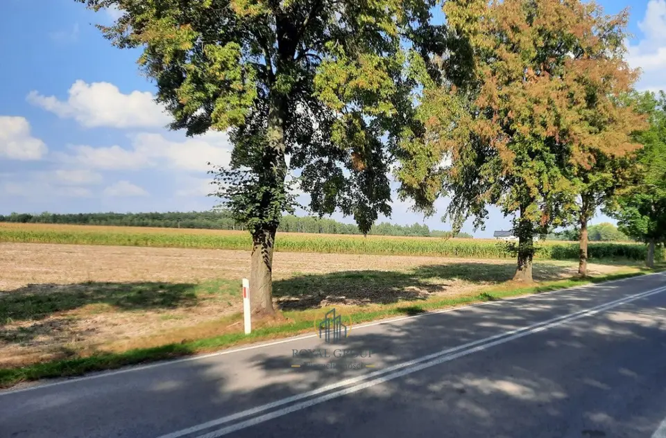 Zdjęcie 8