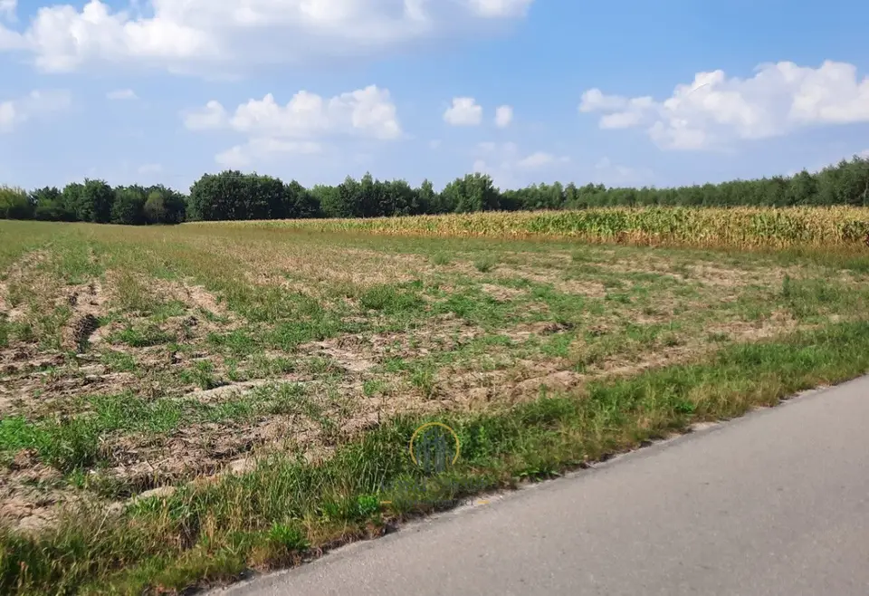 Działka rolna 1,04 ha, Rudno