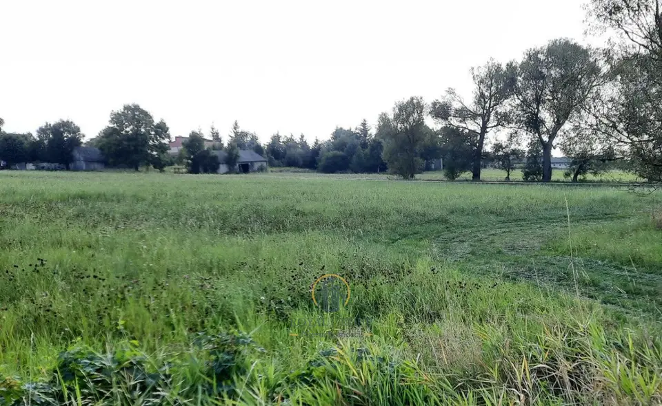 Zdjęcie 5
